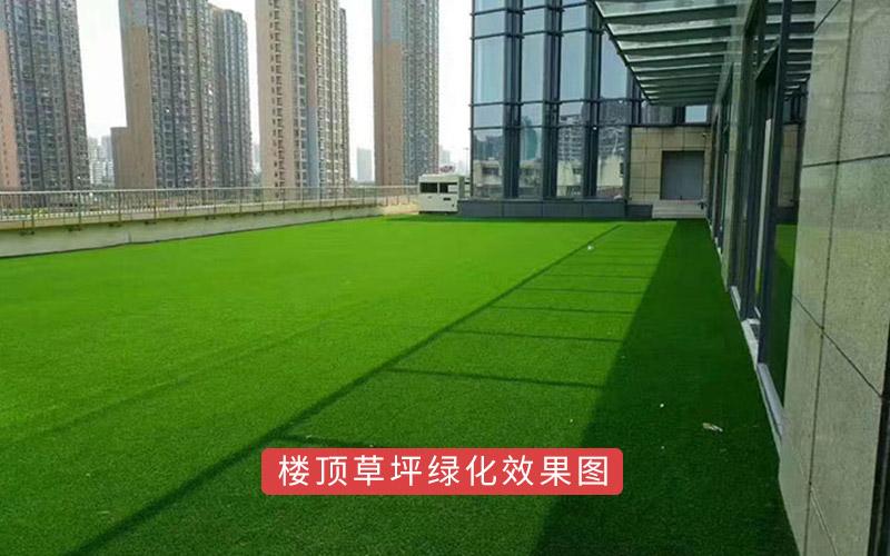 樓頂草坪綠化效果圖