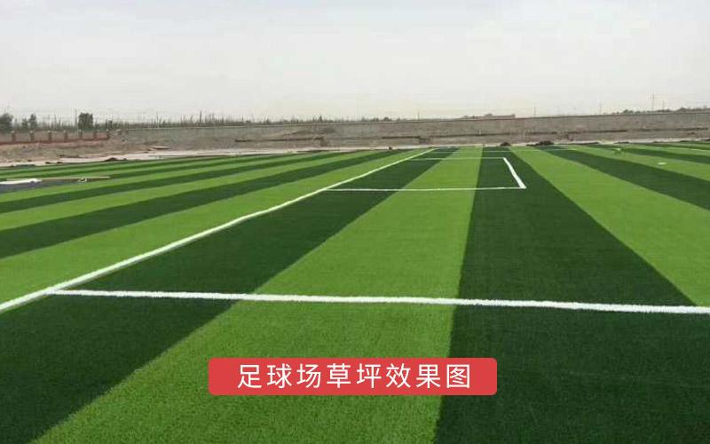 足球場(chǎng)草坪效果圖2